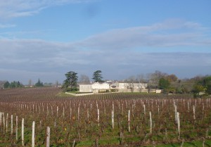 Château Cap Saint Georges