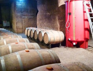 chai-domaines-bourg-saint-georges
